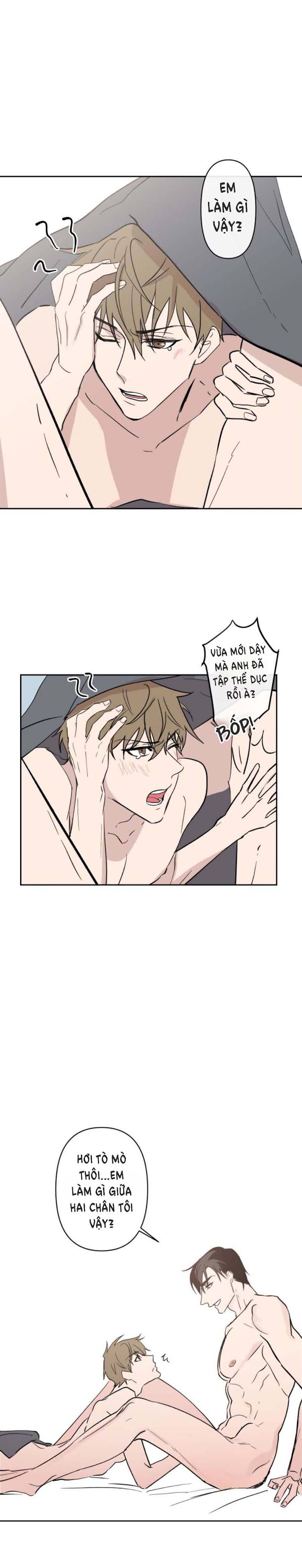 Trang 19