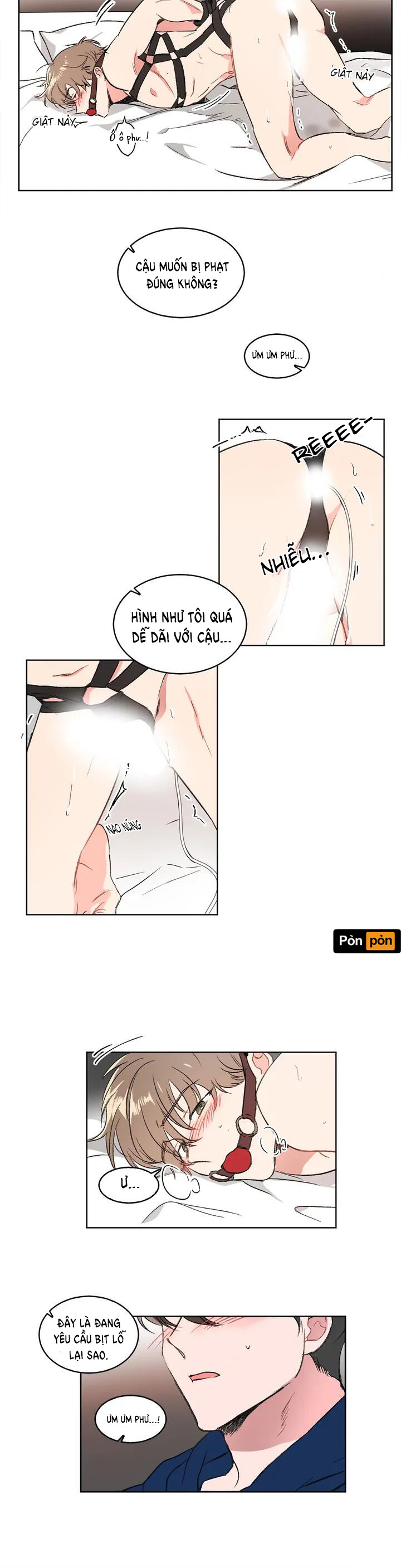 Trang 5