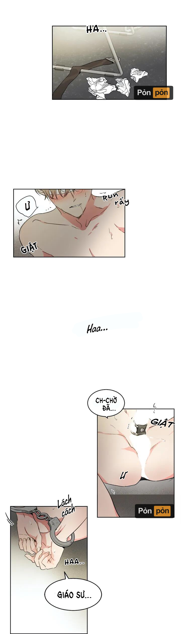 Trang 19
