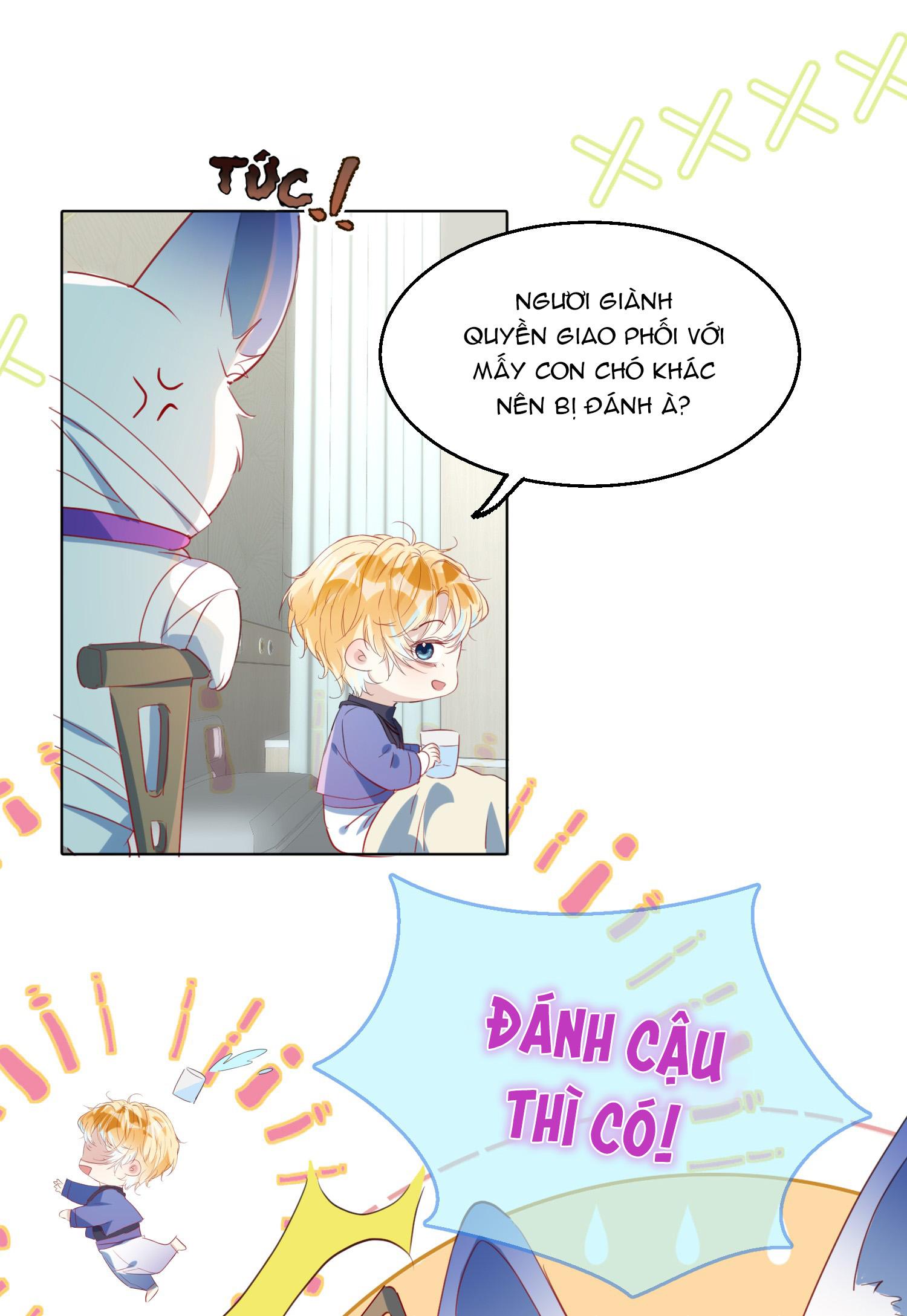 Trang 25