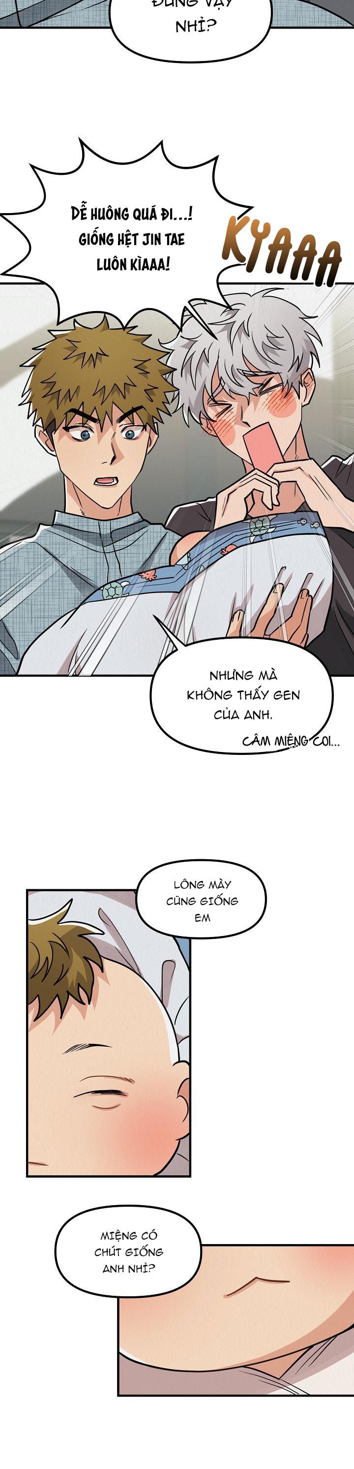 Trang 19