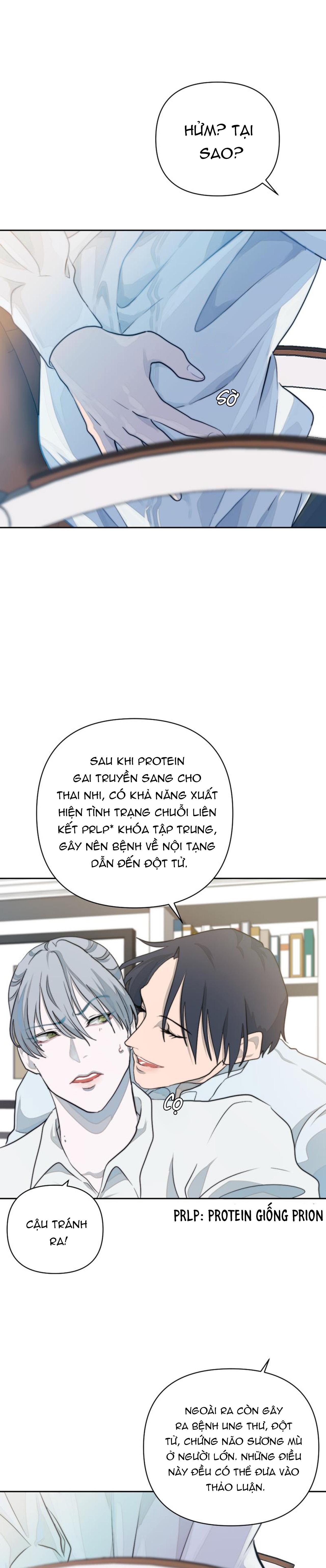 Trang 24