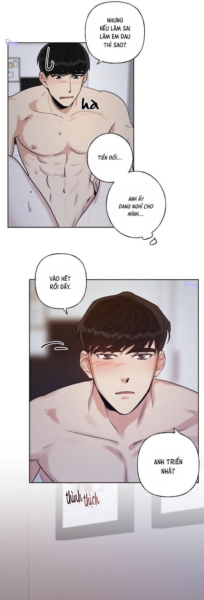 Trang 19