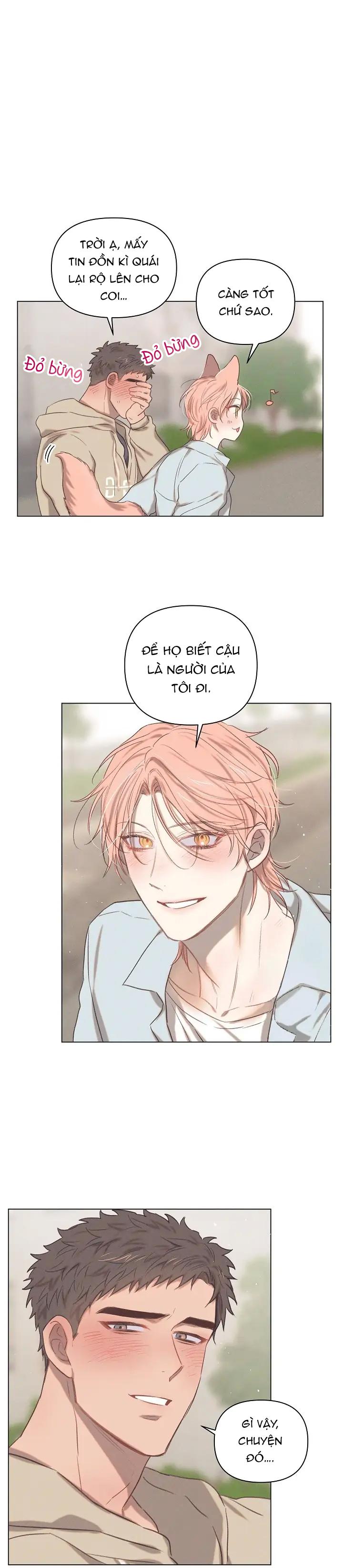 Trang 23