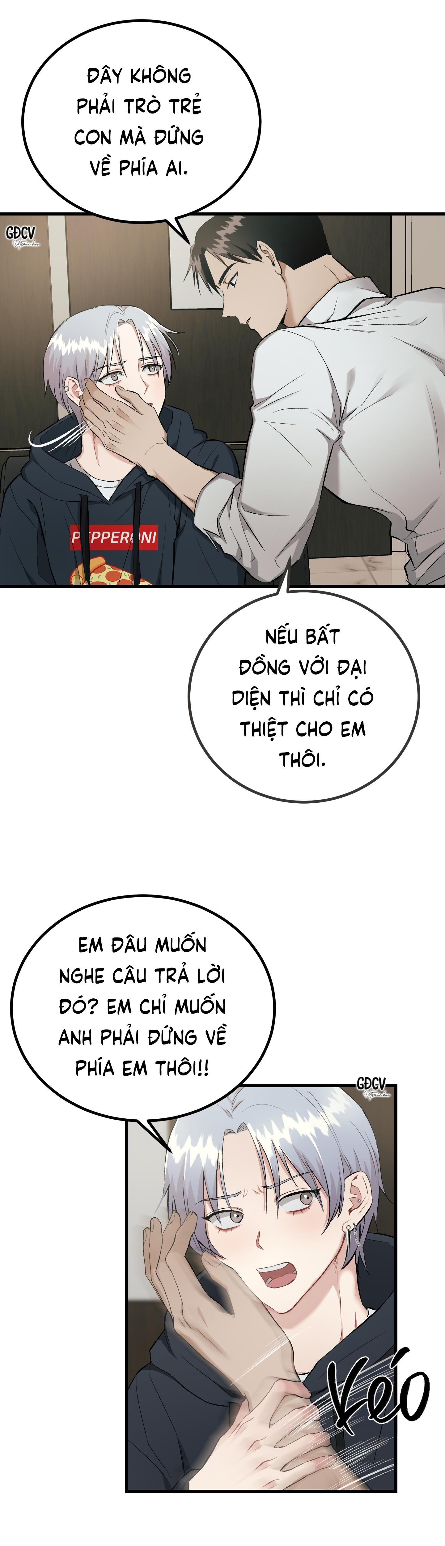 Trang 21