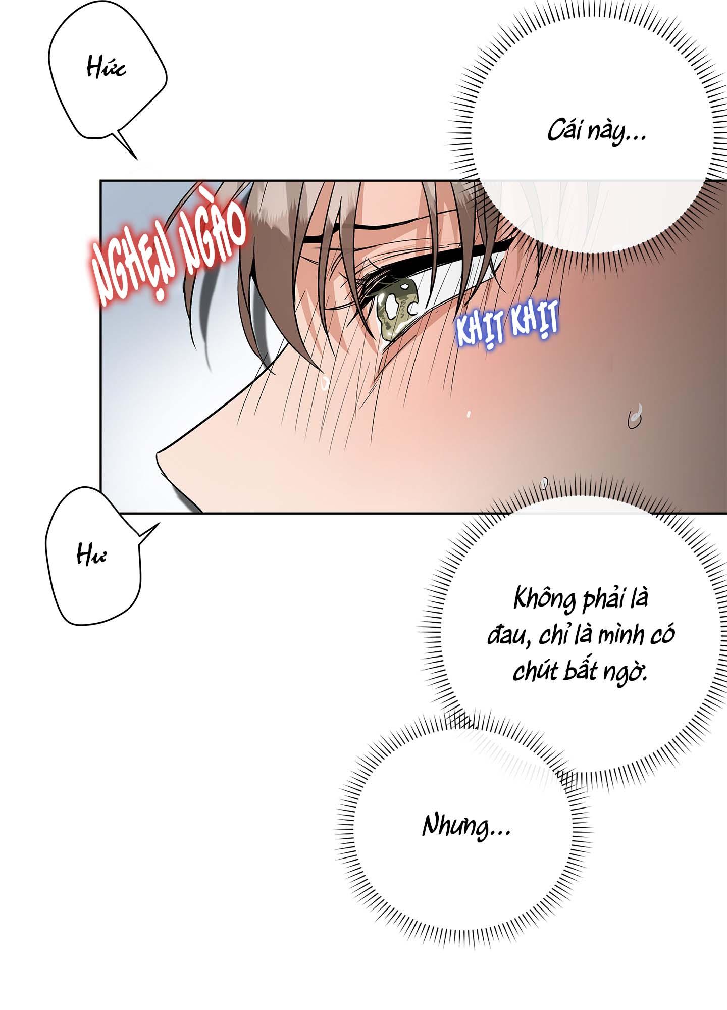 Trang 51