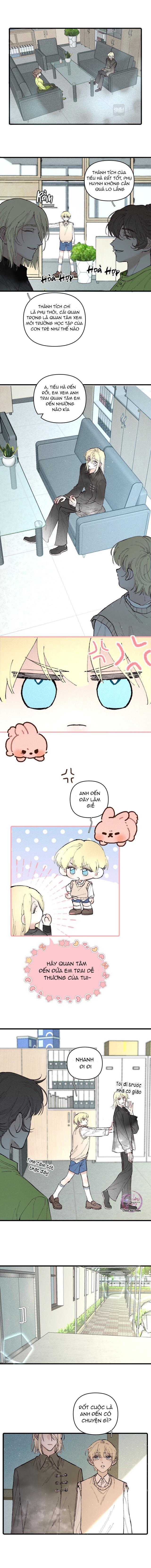 Trang 7