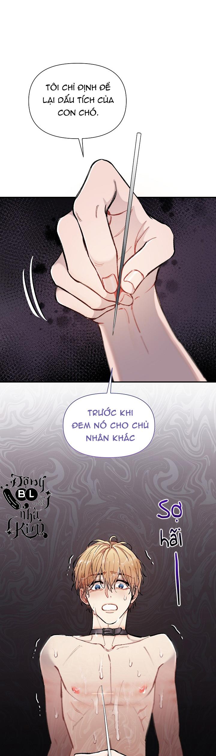 Trang 67