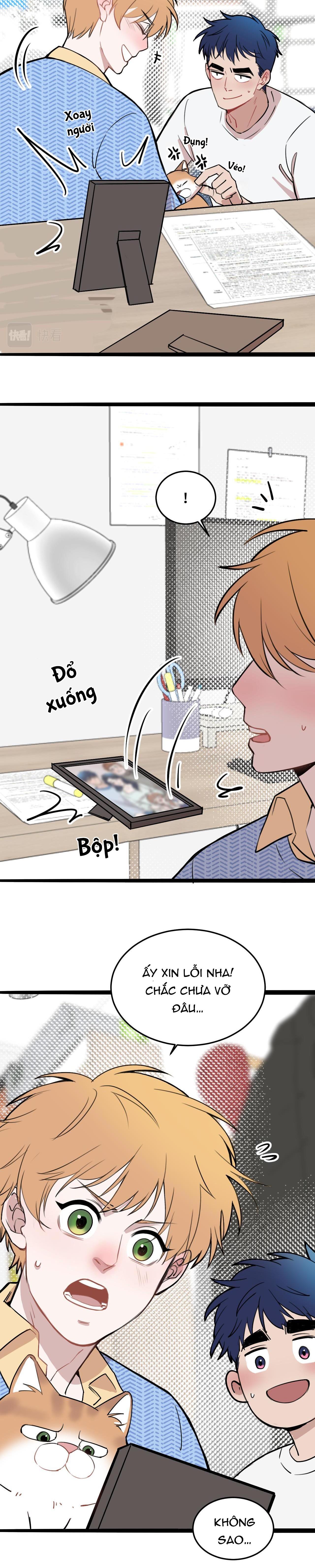 Trang 11