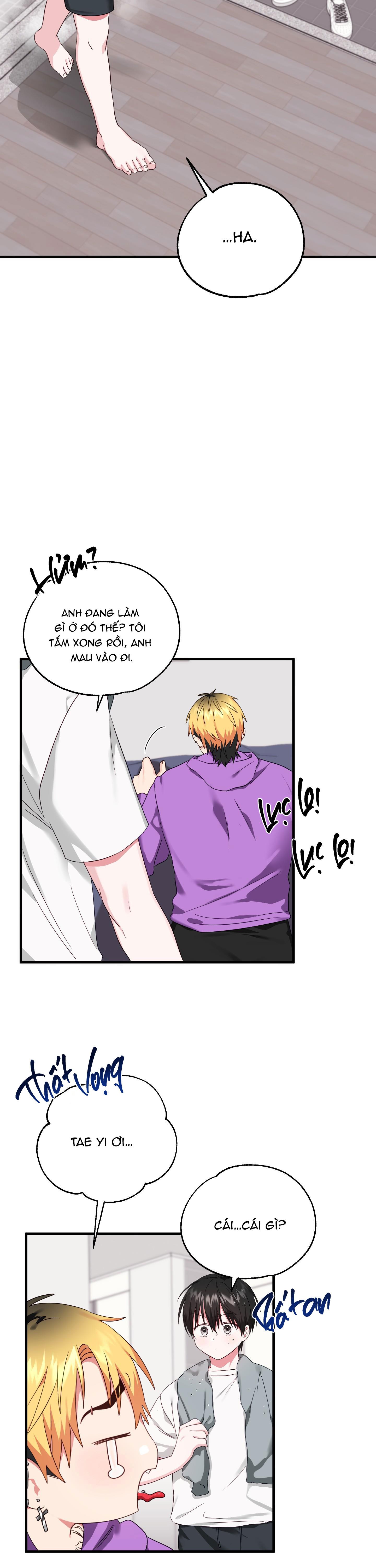Trang 13