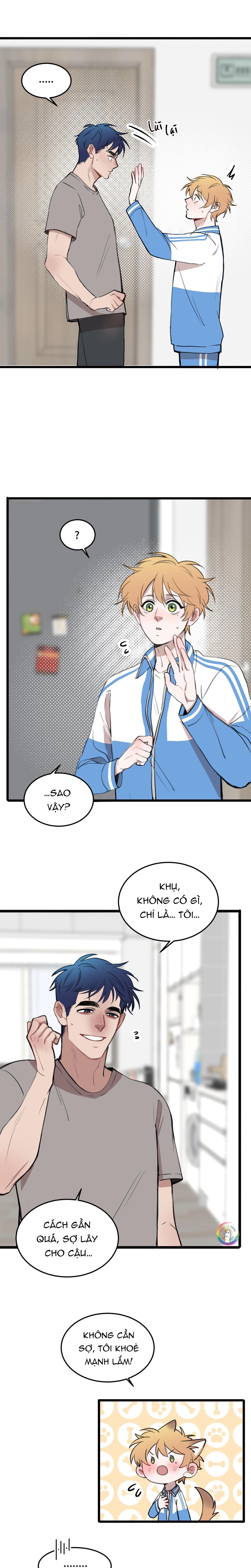 Trang 5