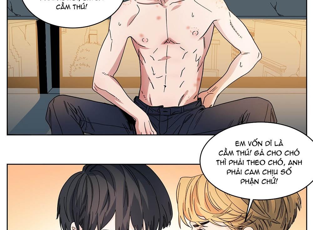 Trang 24