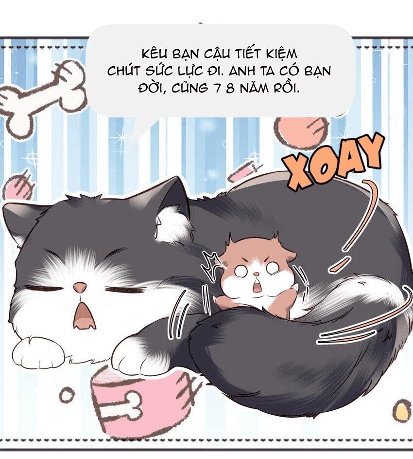 Trang 37