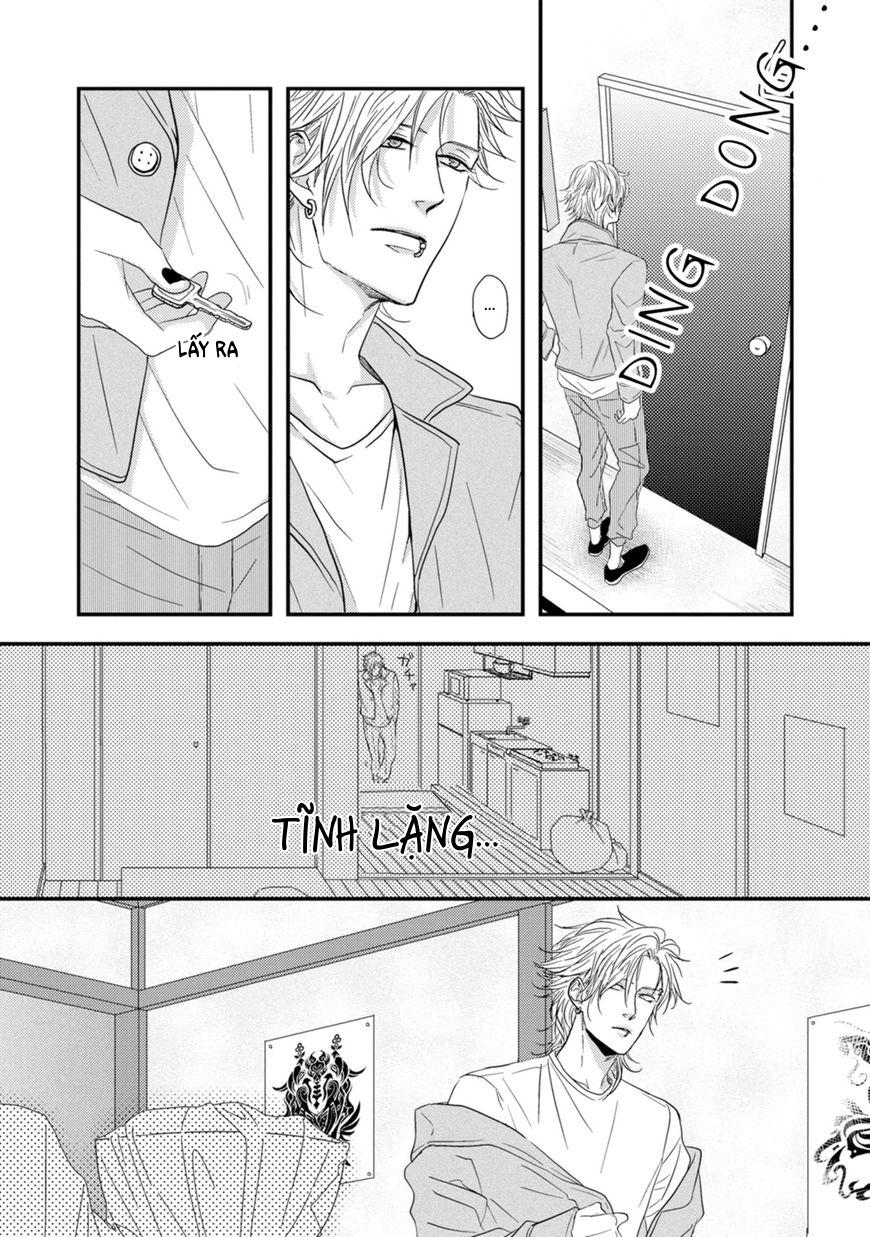 Trang 15