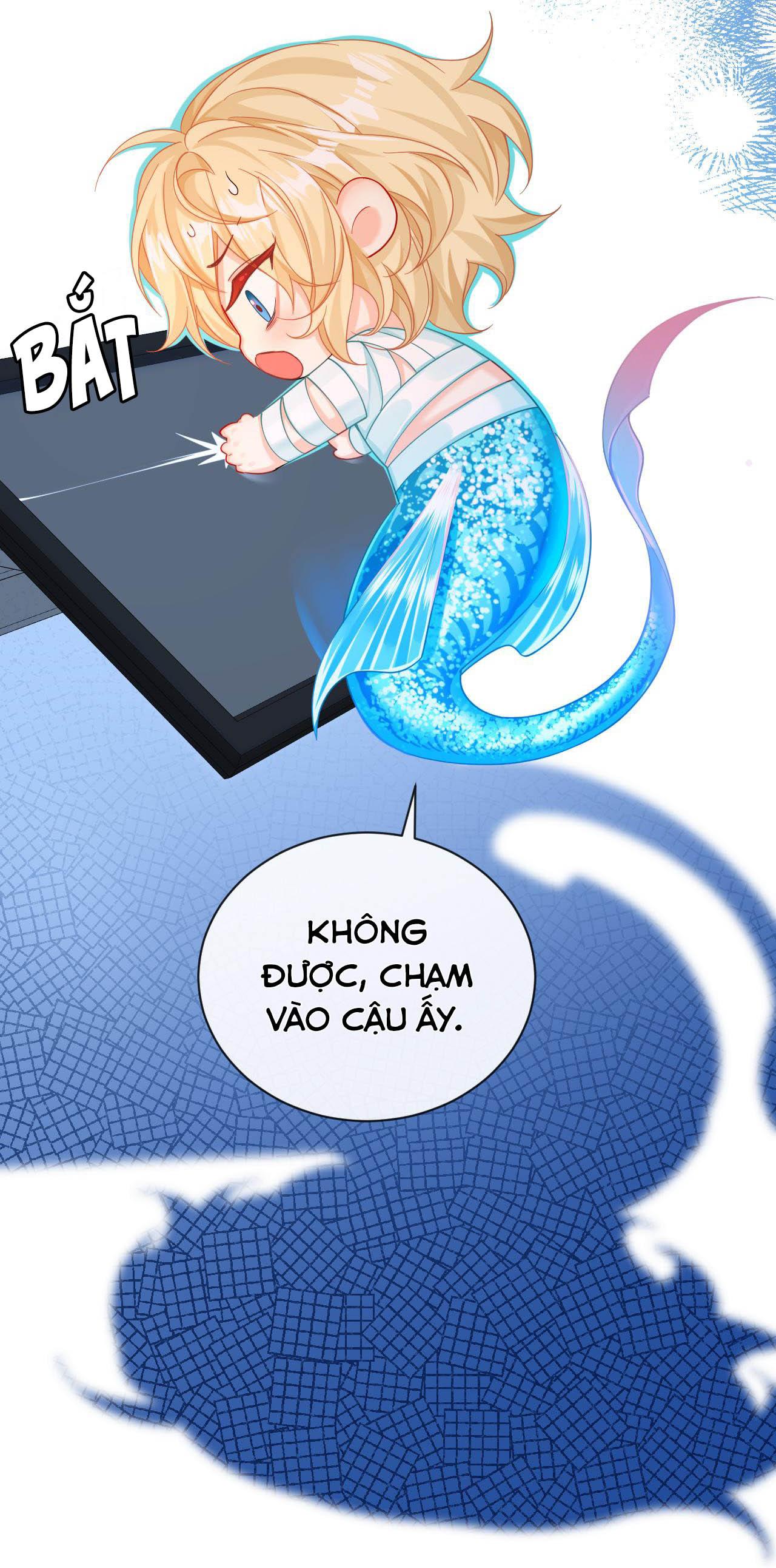 Trang 46