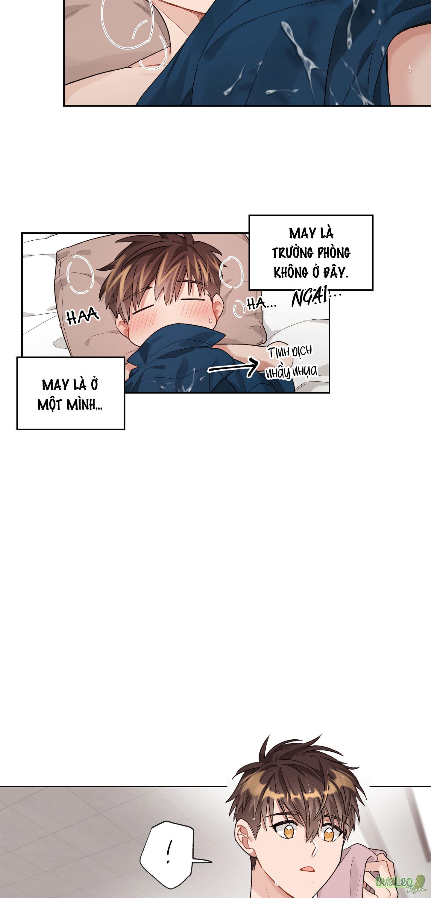 Trang 31