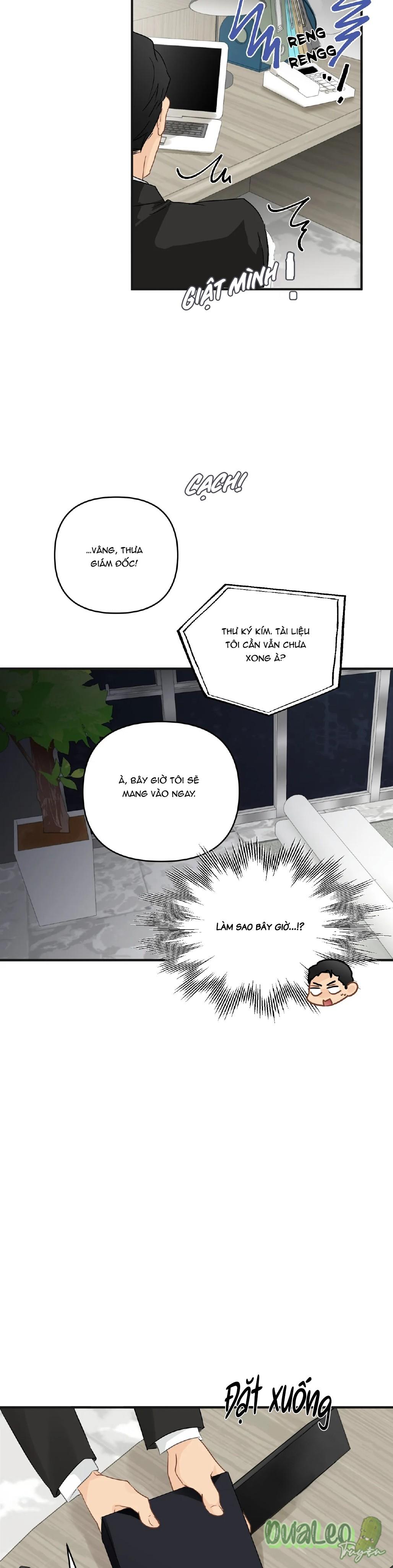 Trang 24