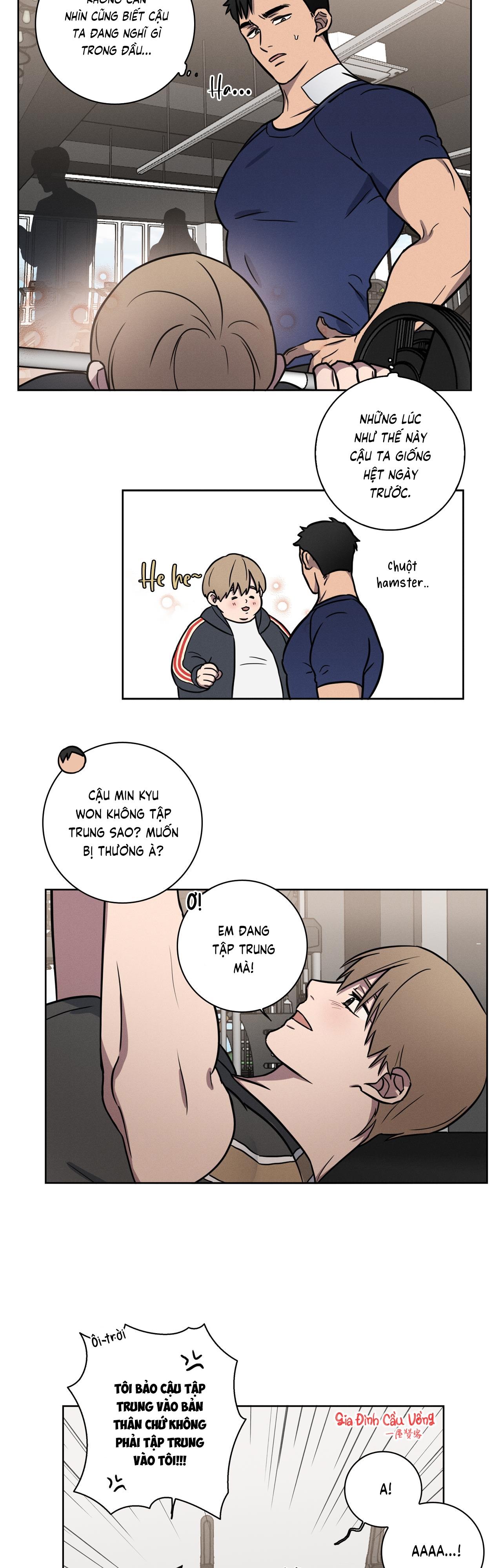 Trang 21