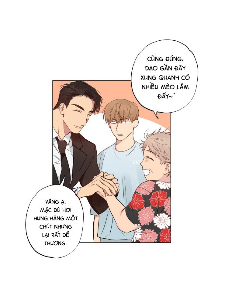 Trang 47