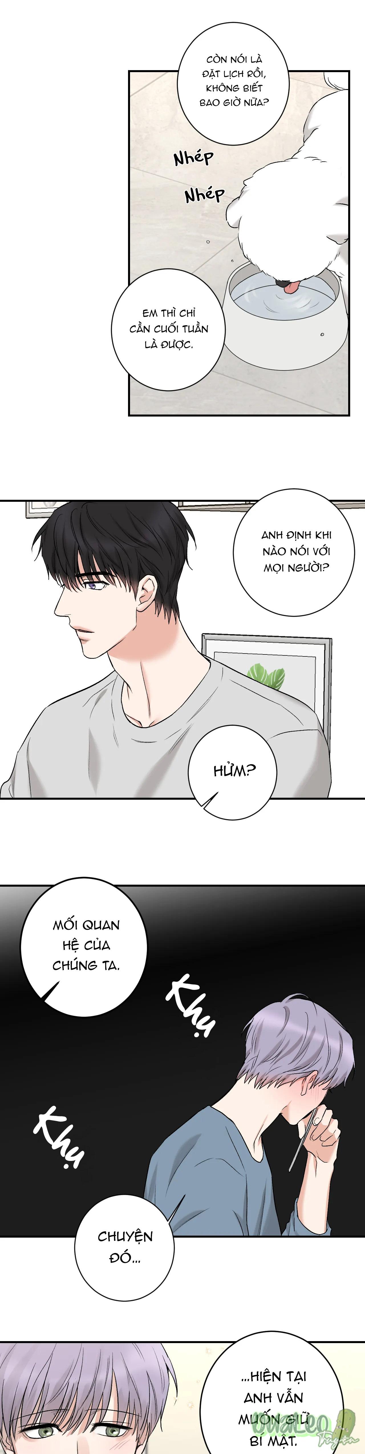 Trang 20
