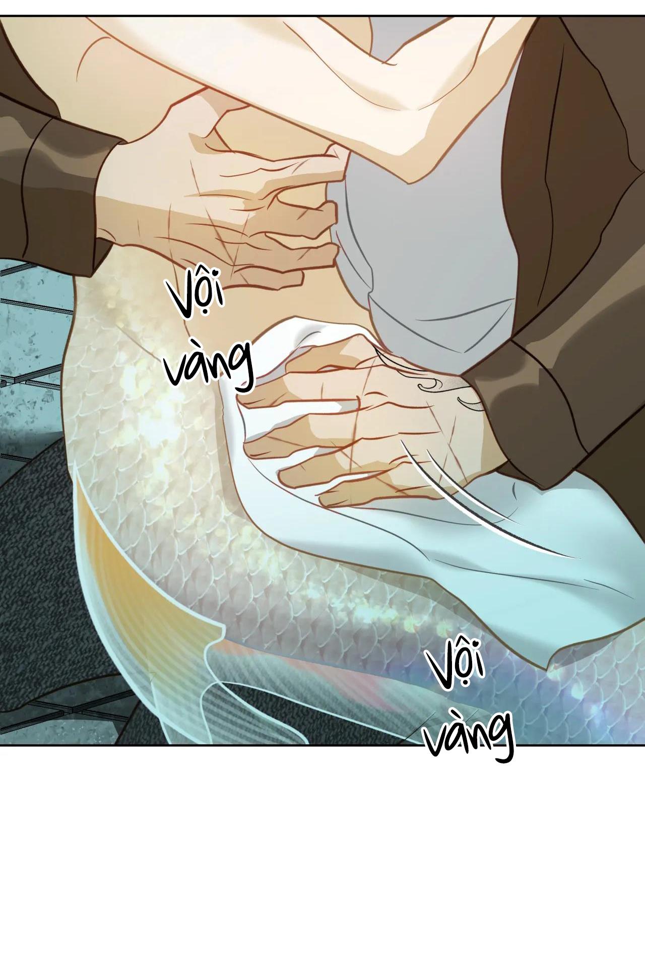 Trang 52