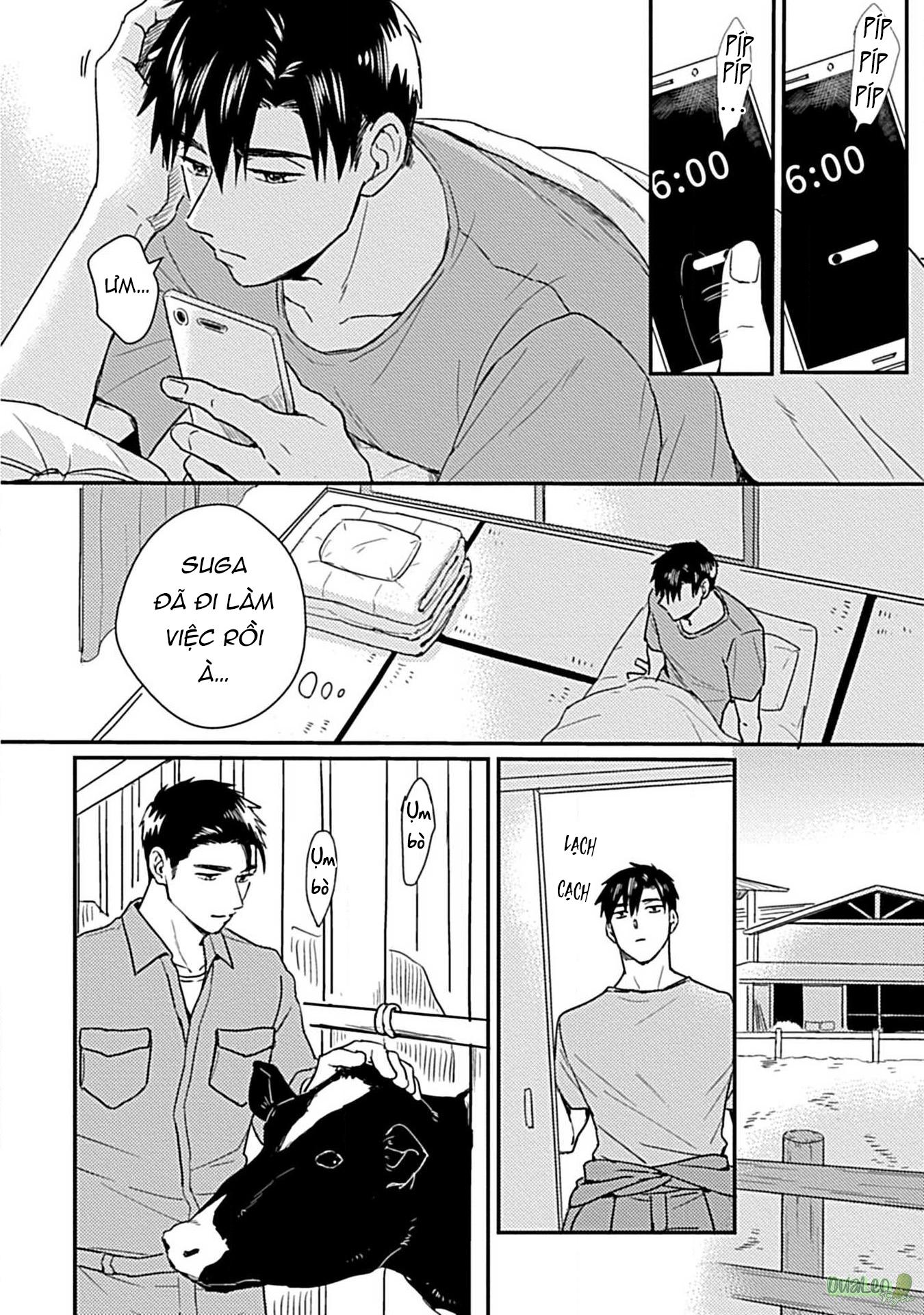 Trang 19