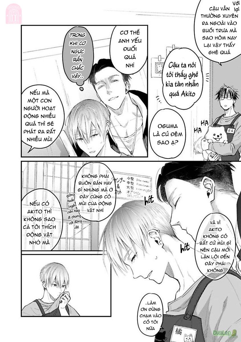 Trang 7