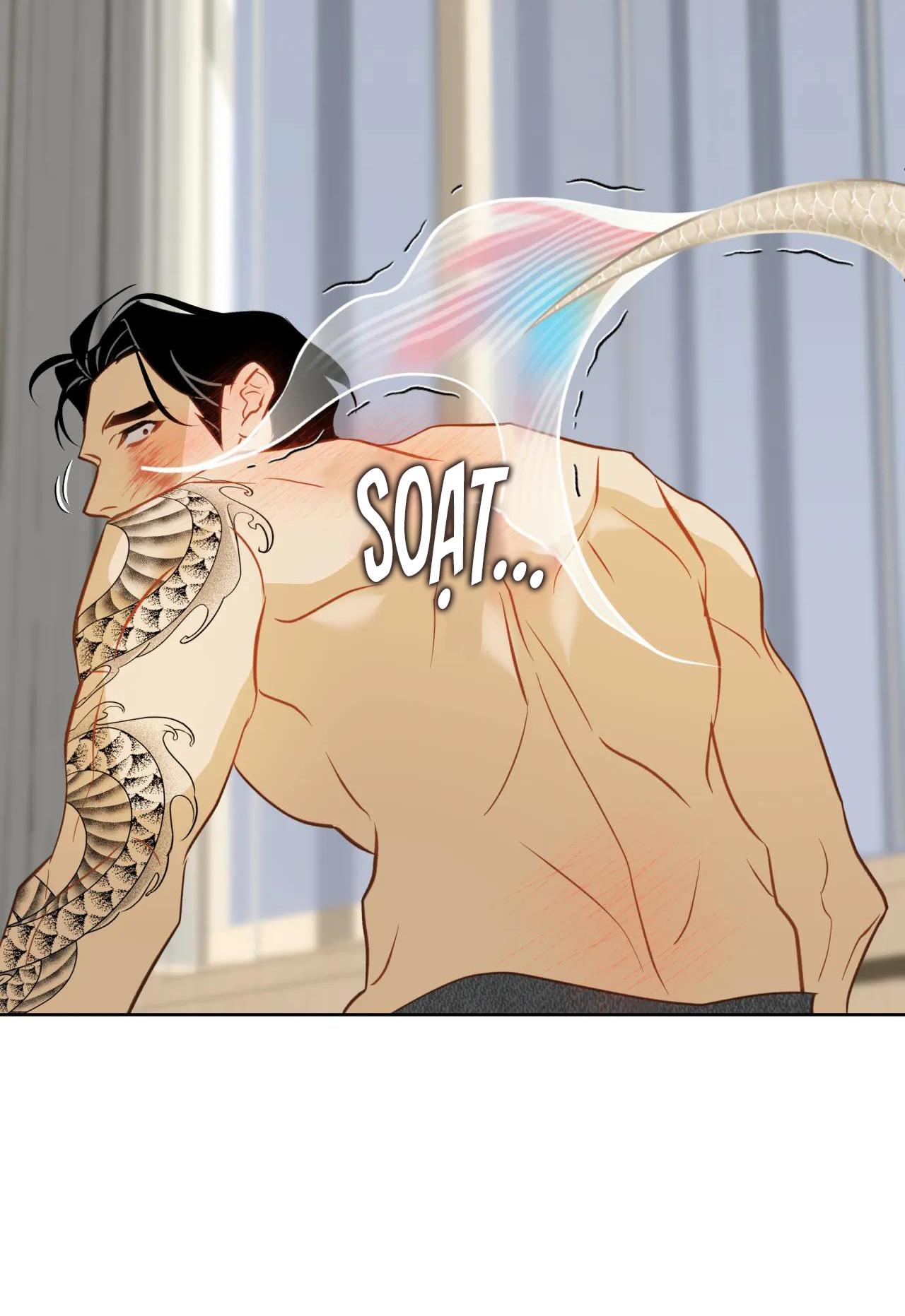 Trang 62