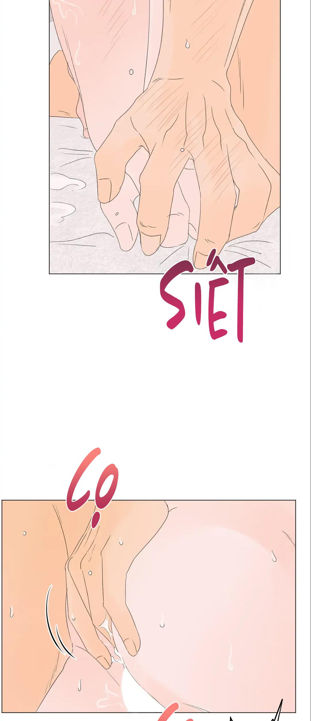 Trang 65
