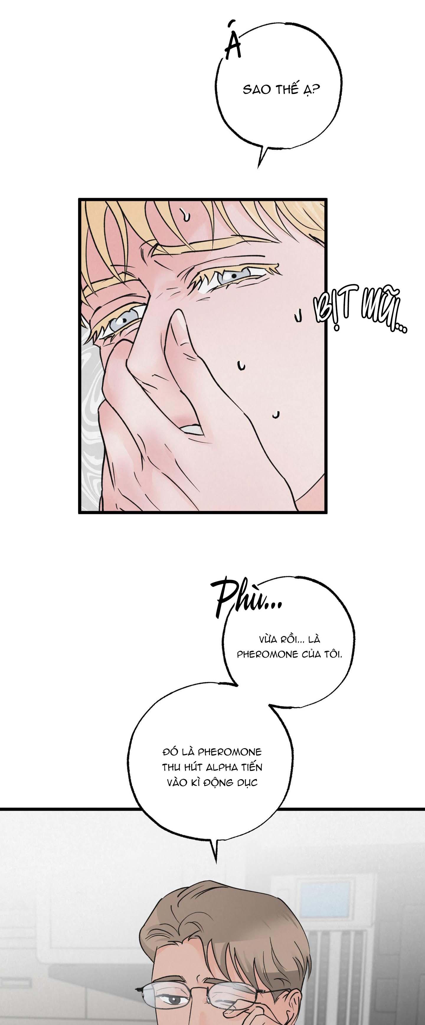 Trang 45