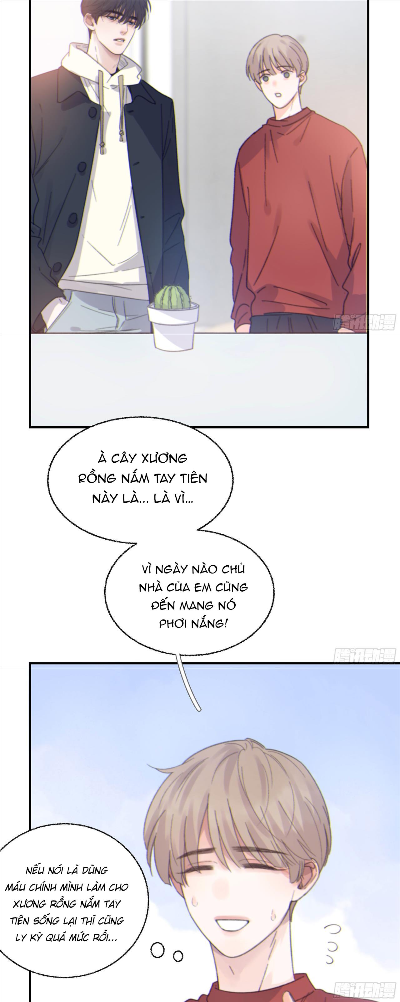Trang 15
