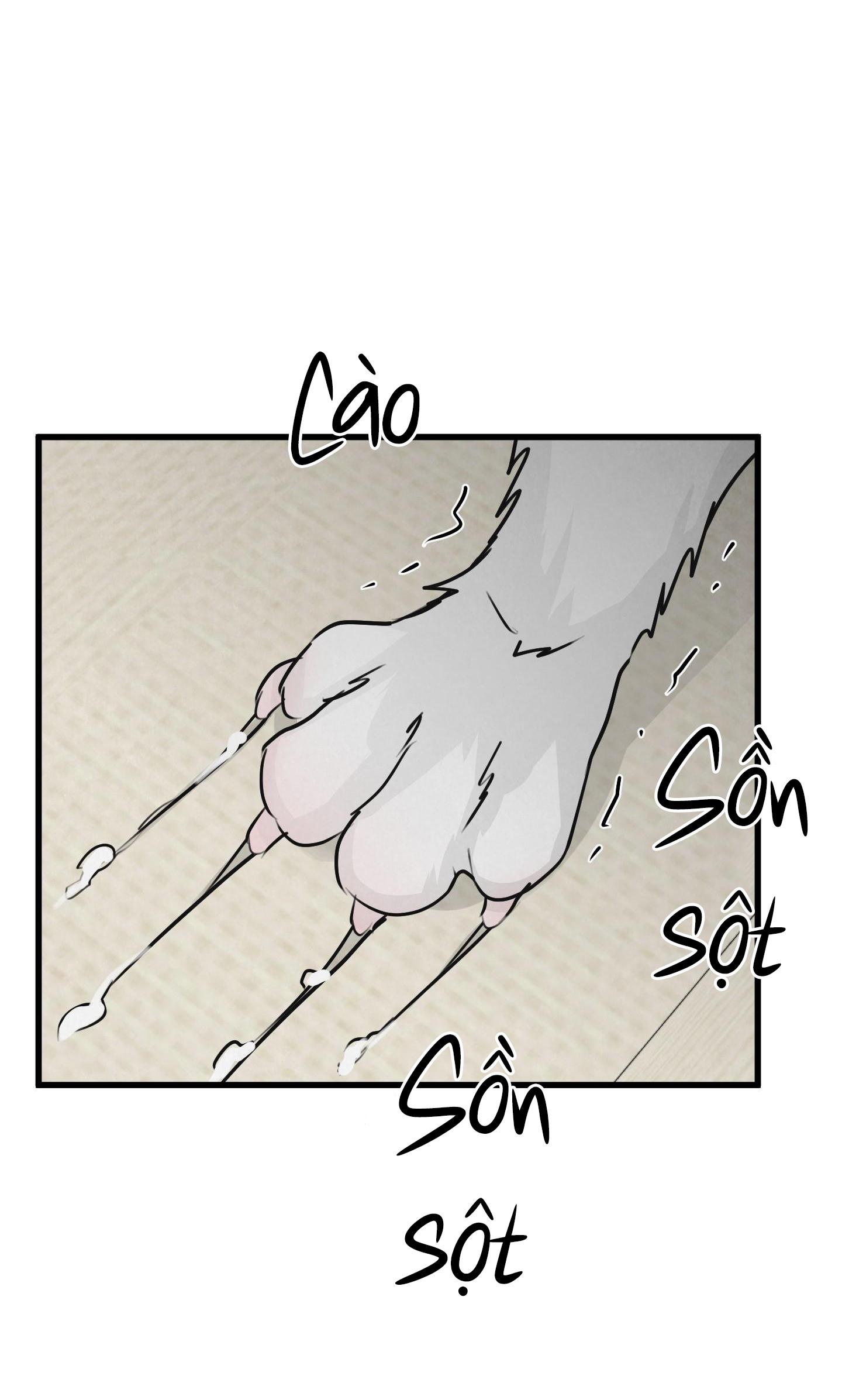 Trang 64