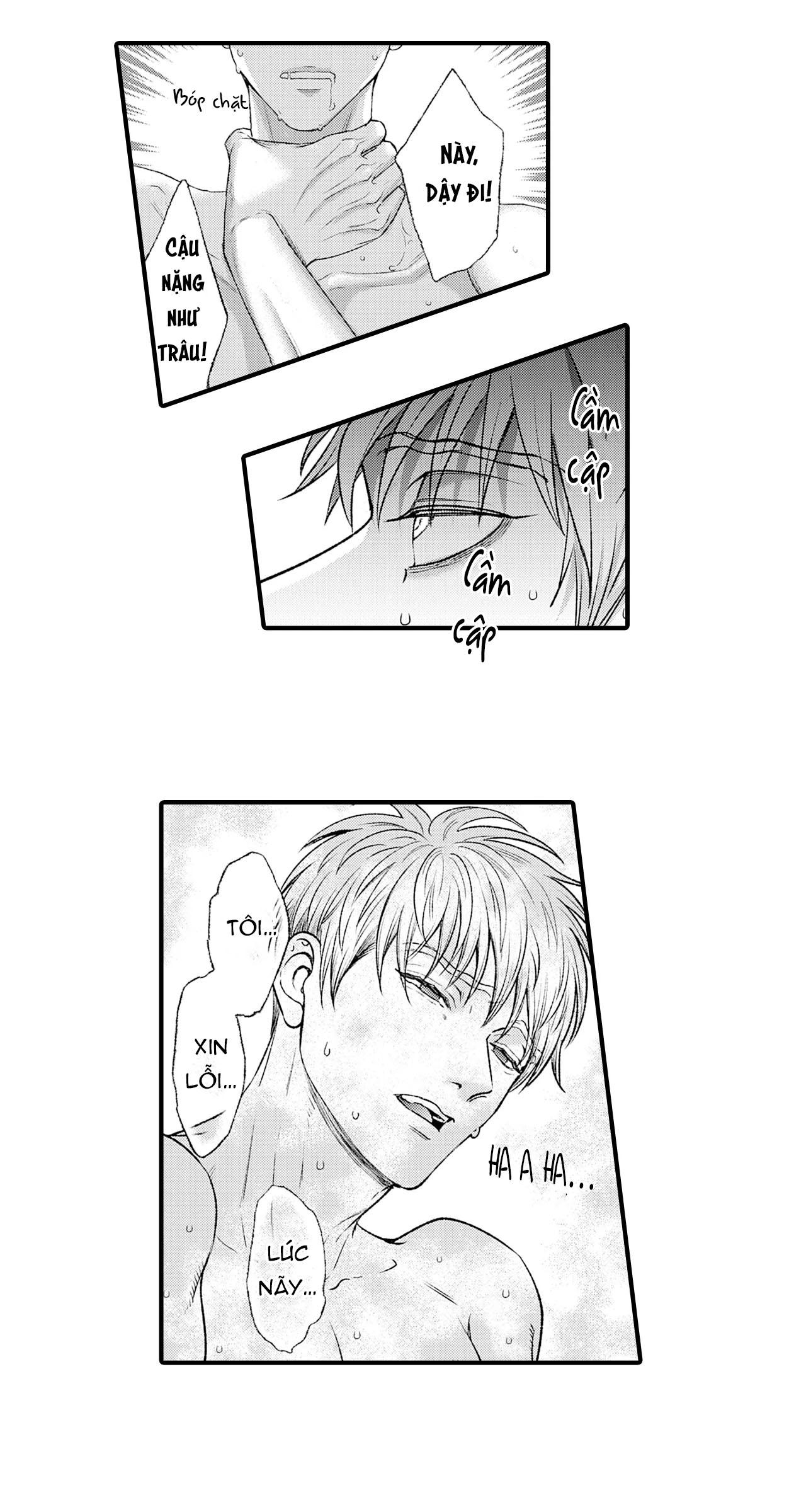 Trang 19