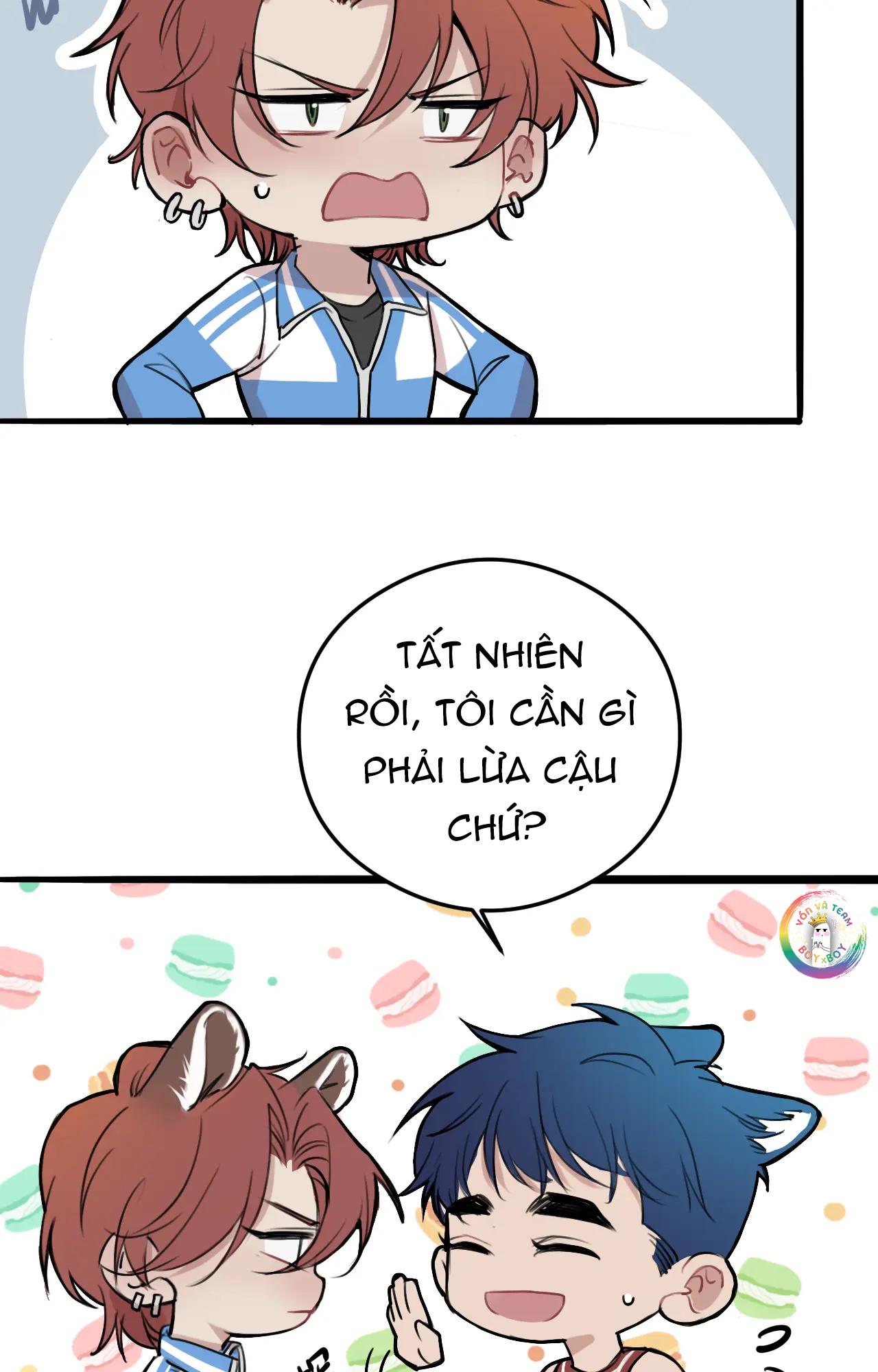 Trang 17