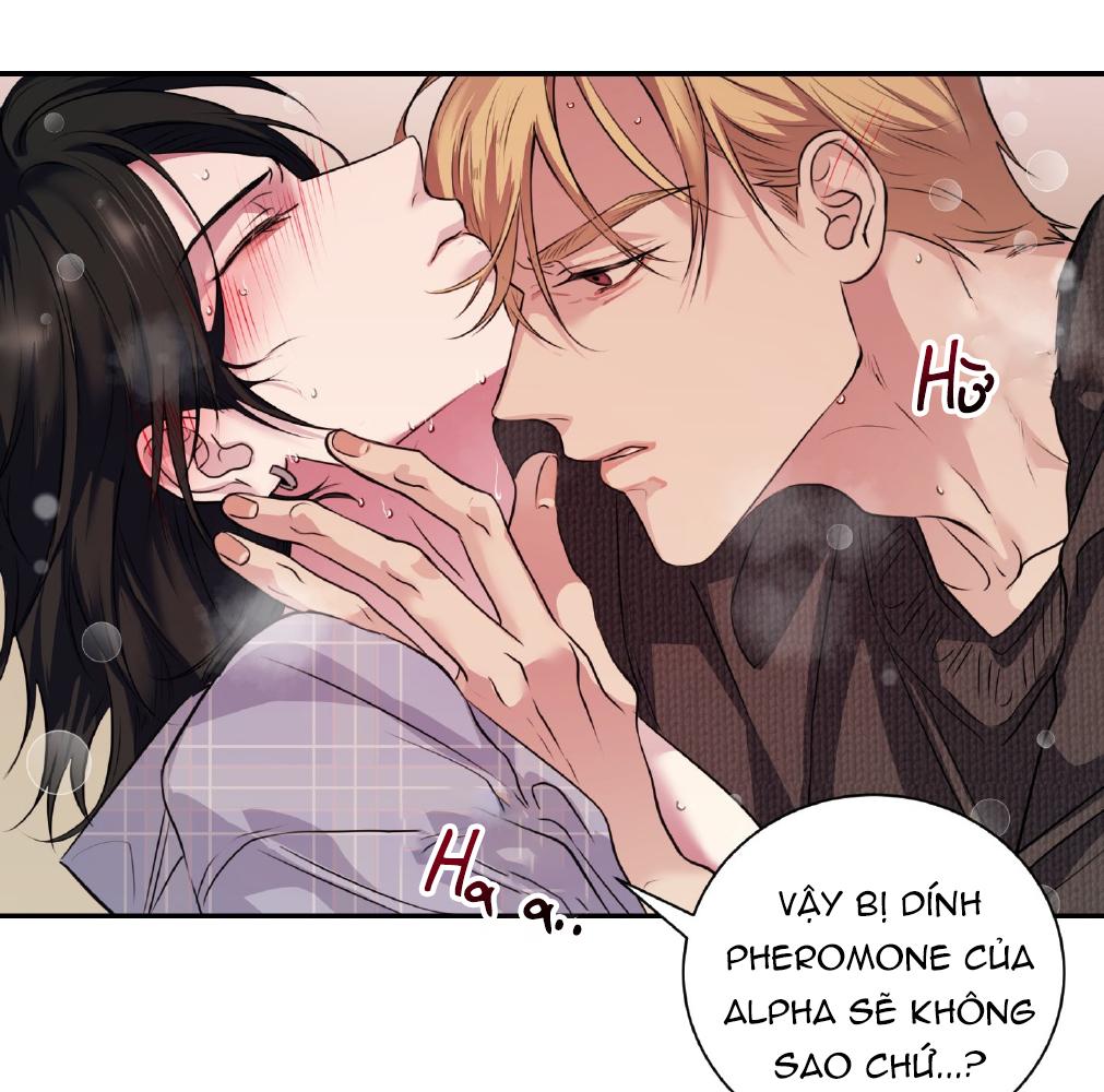 Trang 219