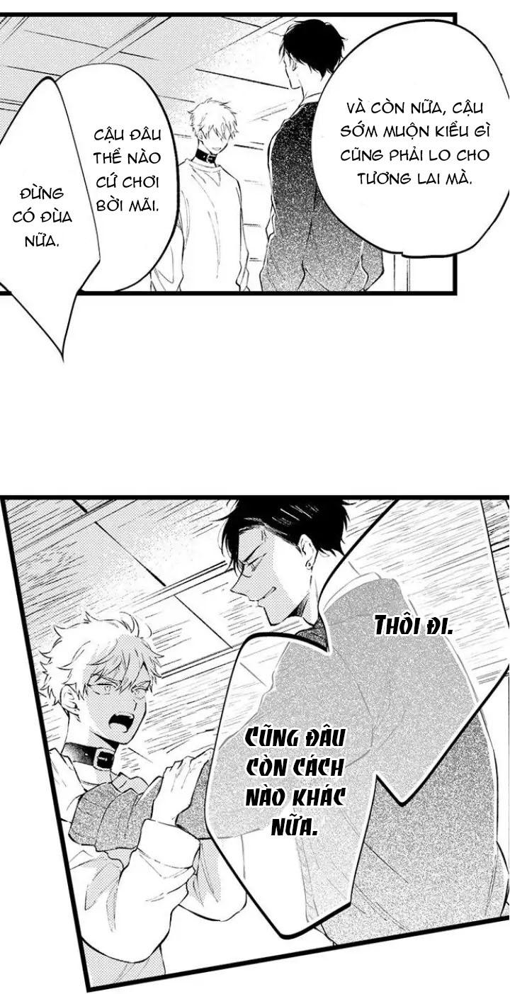 Trang 15