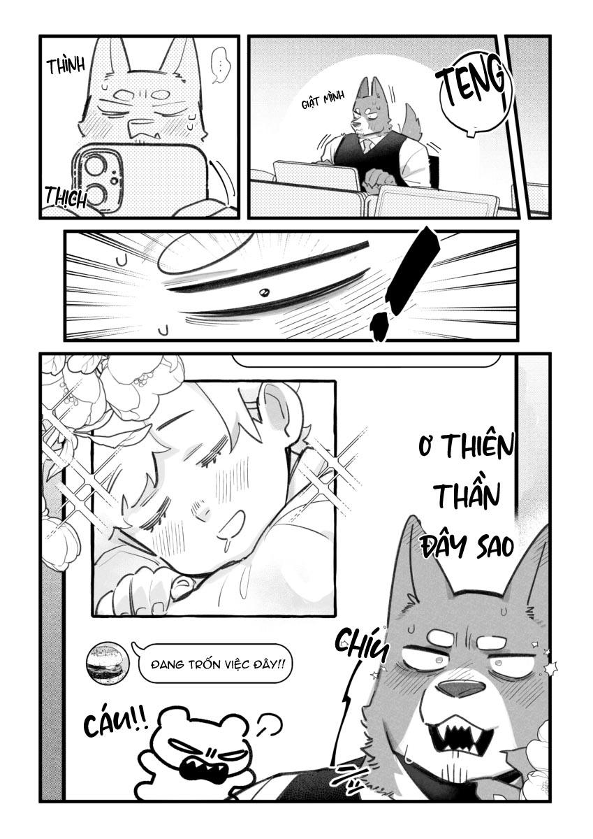 Trang 5