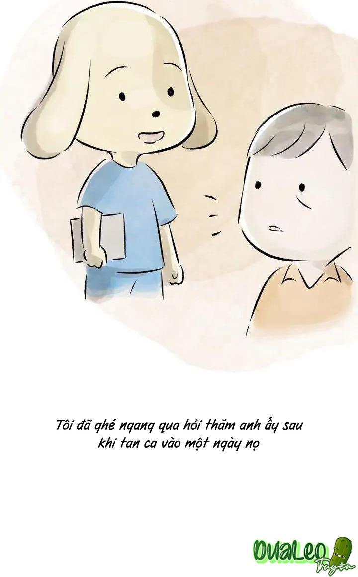 Trang 19