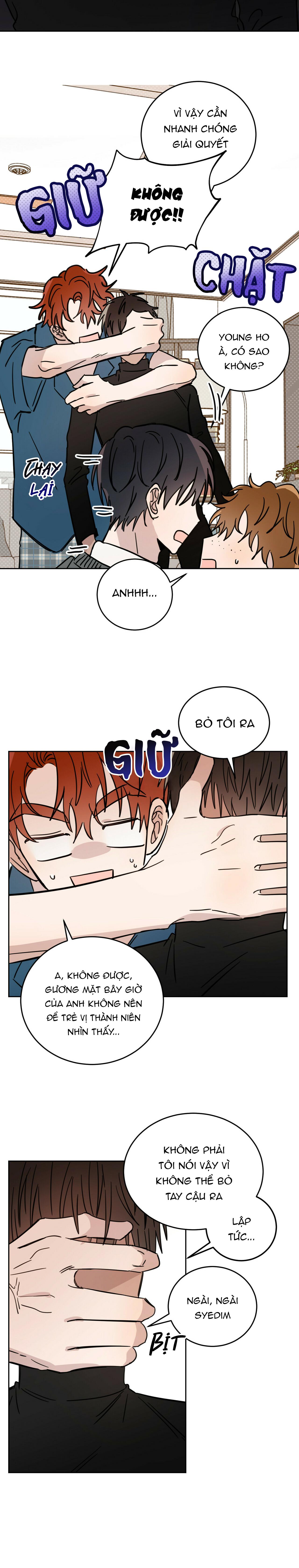 Trang 19