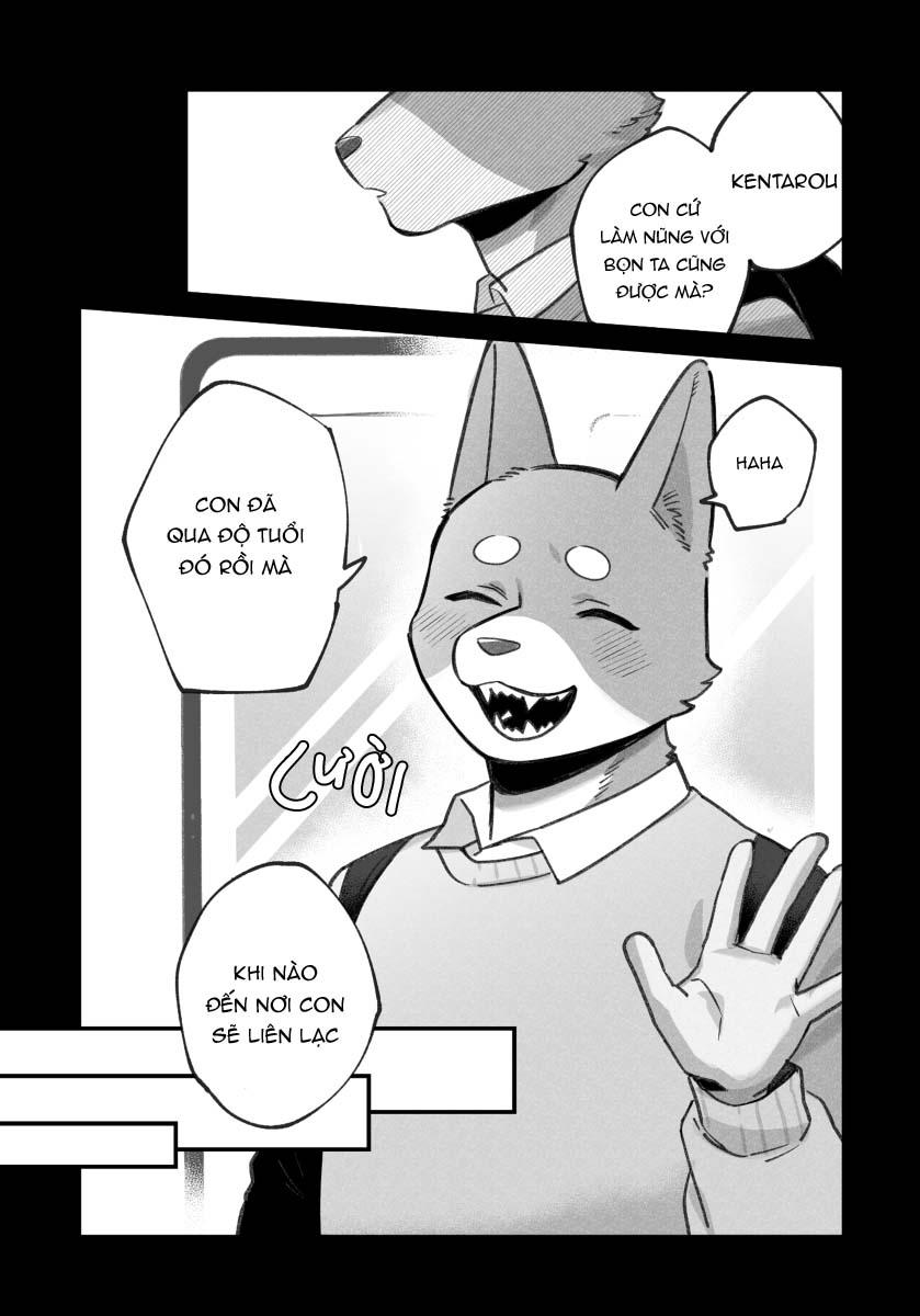 Trang 7