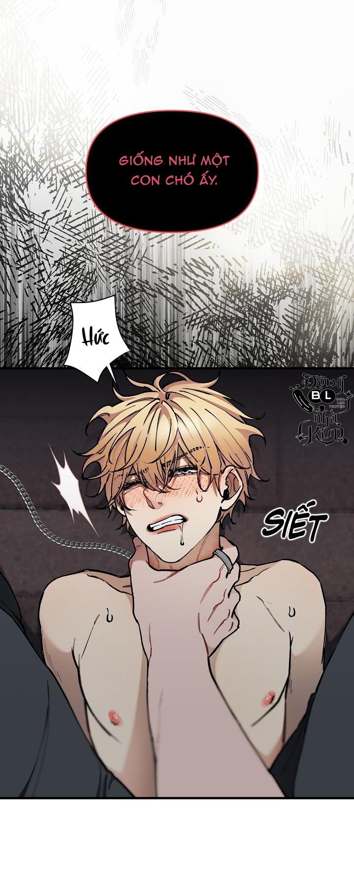 Trang 48
