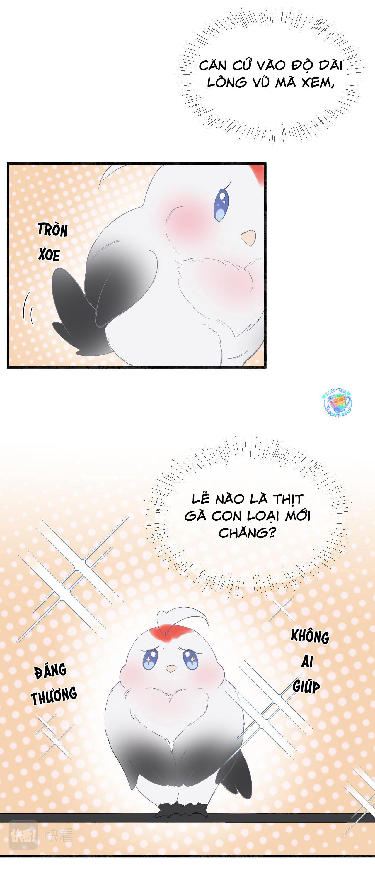 Trang 14