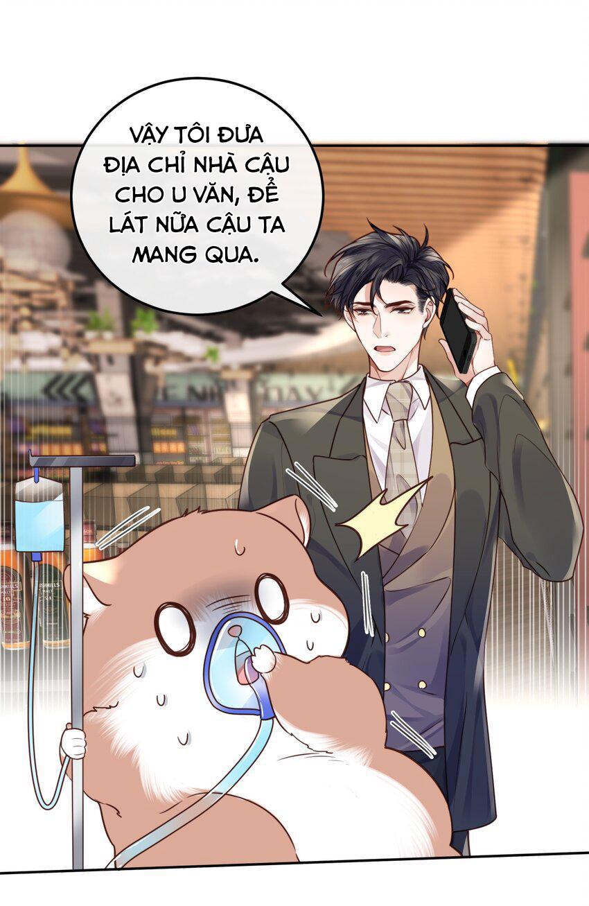Trang 15