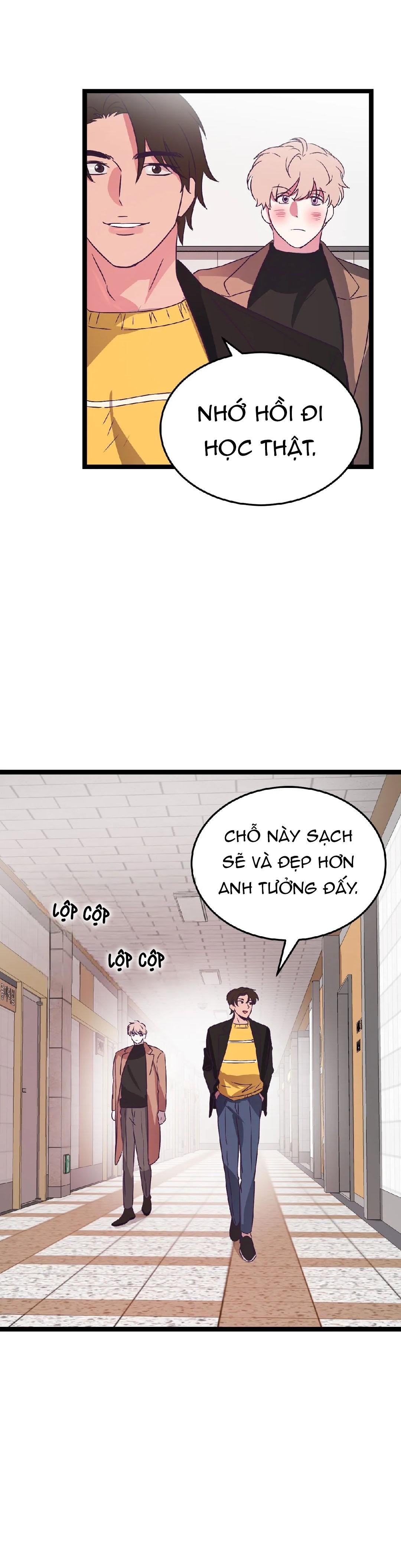 Trang 15