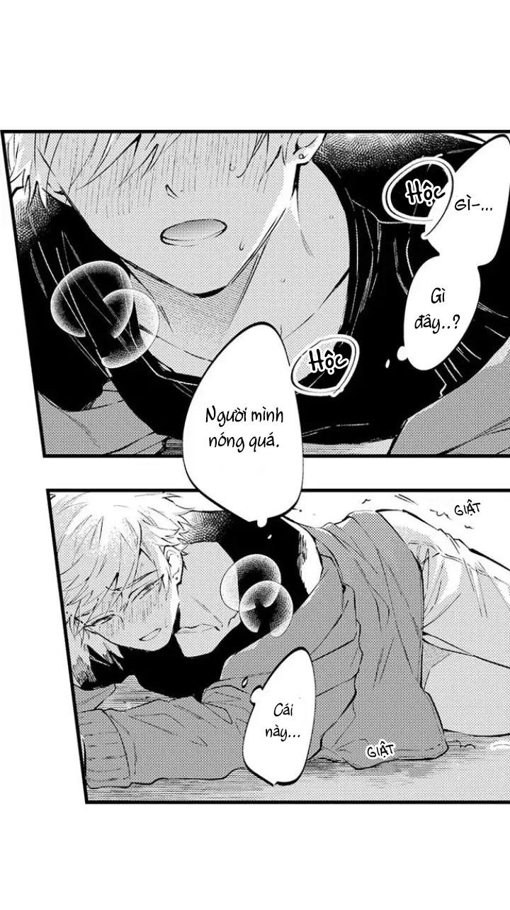Trang 19