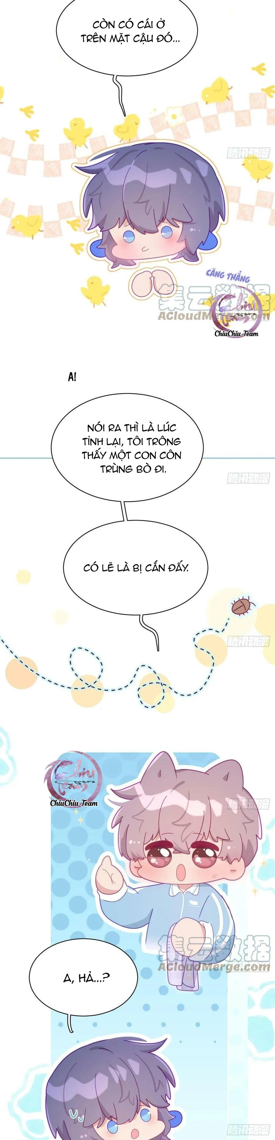 Trang 15