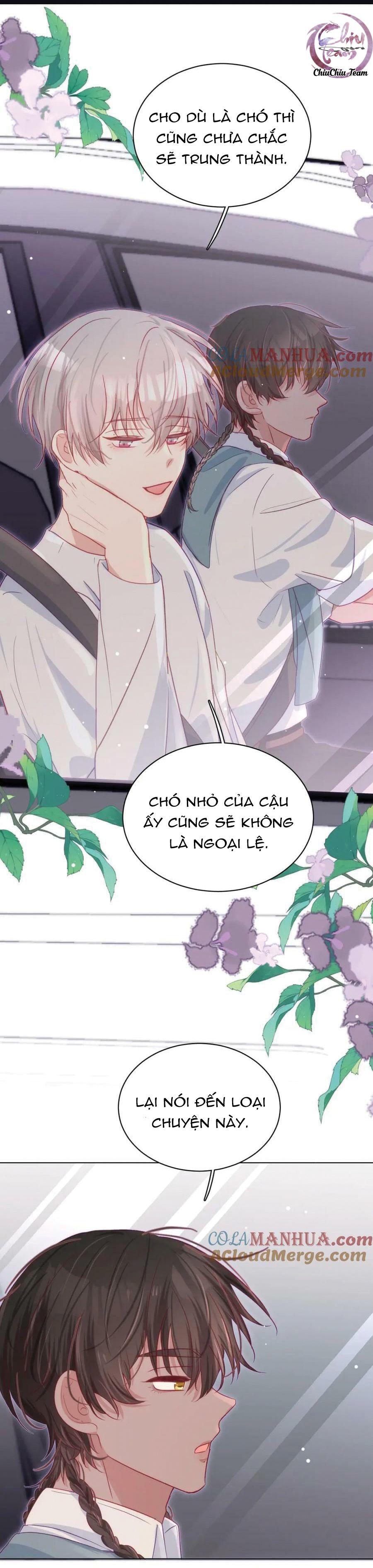 Trang 19