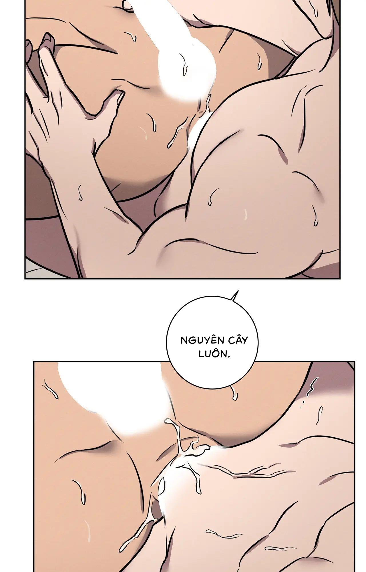 Trang 36