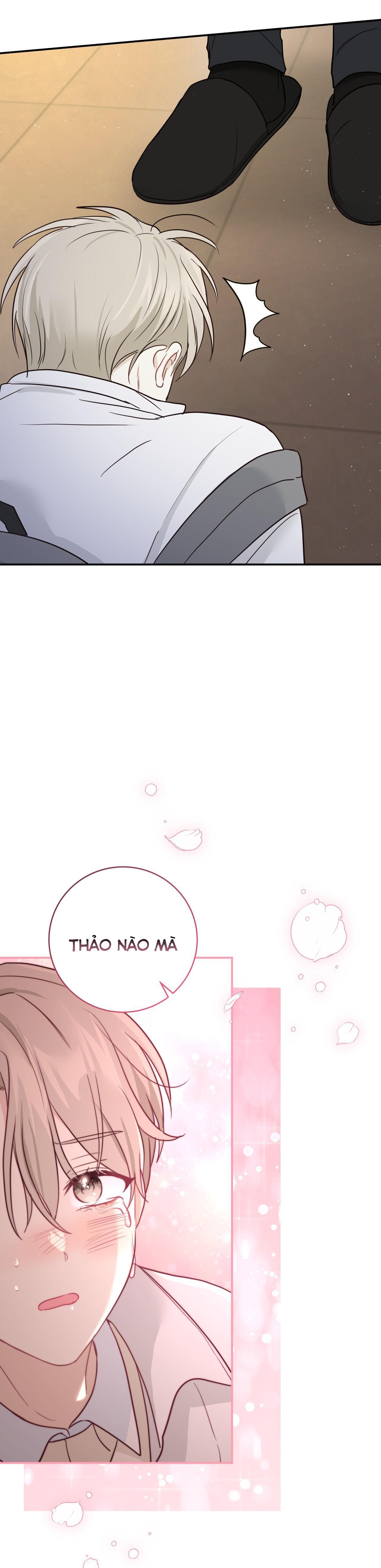 Trang 30
