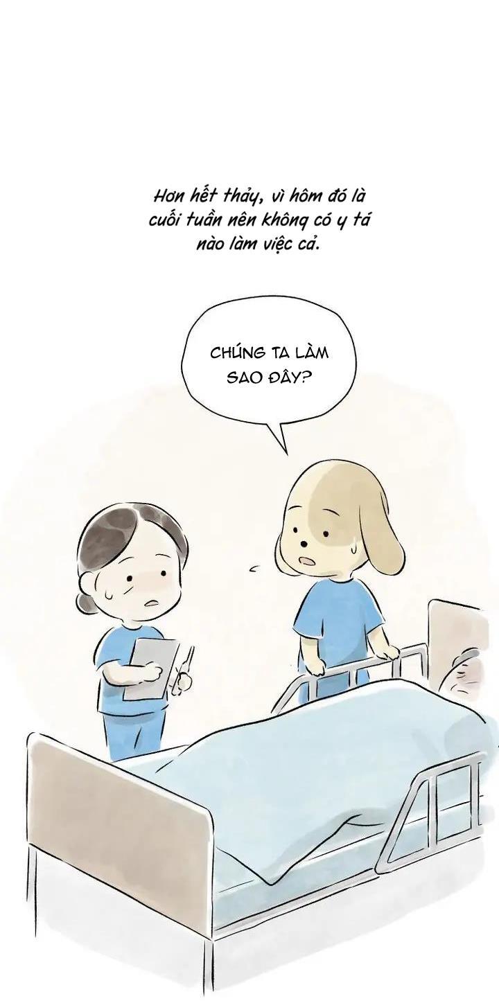 Trang 50